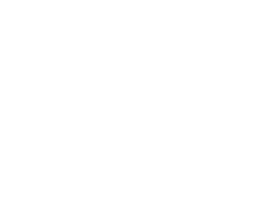 Employees' Retirement Fund of the City of Dallas